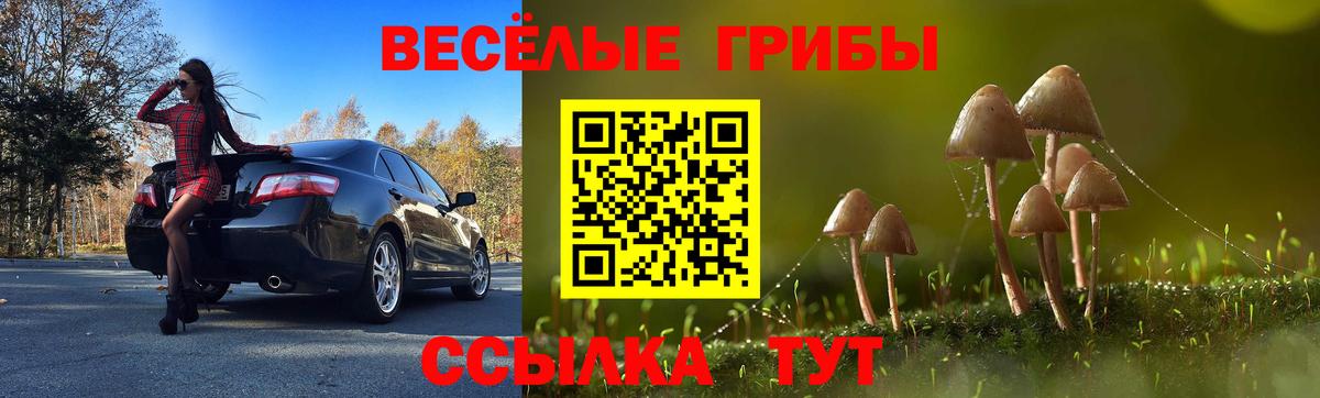 Галлюциногенные грибы прущие грибы  Вход с VPN  наркота  Галлюциногенные грибы прущие грибы  Йошкар-Ола 